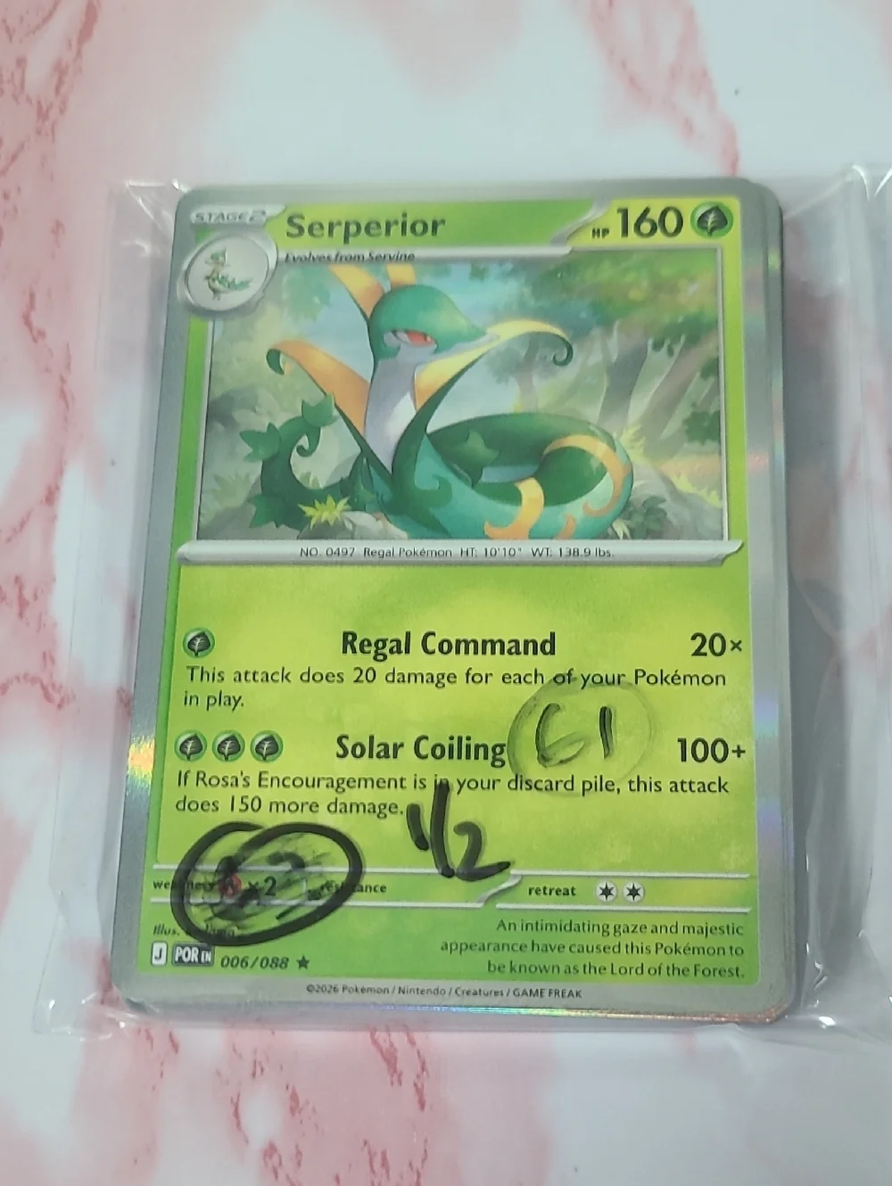 Pokemon Perfect Order Lot Of 61